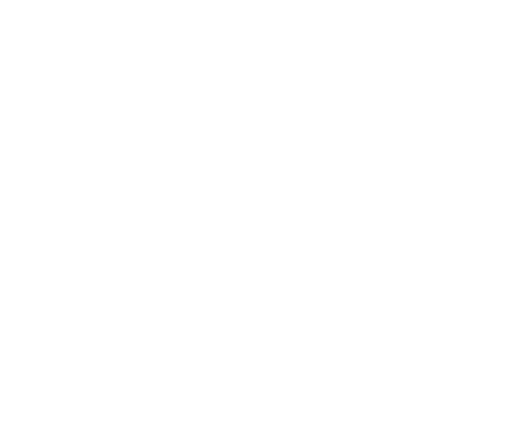 Vševid logo