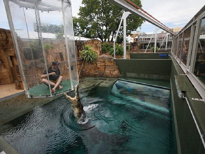 Crocoshow Praha projekt